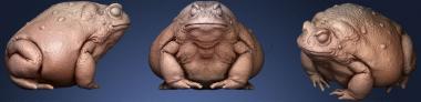 3D мадэль Скульптура жабы (STL)